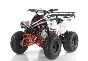 A red and black atv with a rack on the back.
