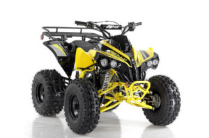 A yellow and black atv is parked on the ground