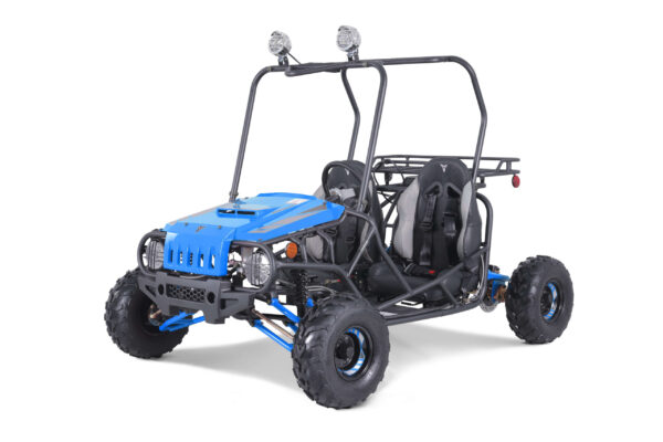 A blue and black buggy is parked on the ground