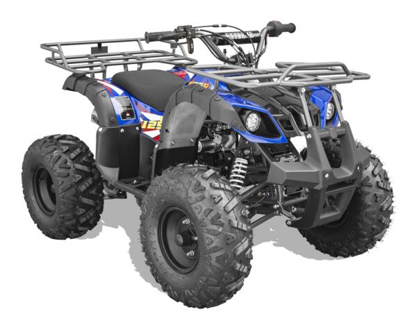 Vitacci Rider 9 125cc ATV, Fully Automatic with Reverse, 4-Stroke Single Cylinder, Air-Cooled Engine - Image 17
