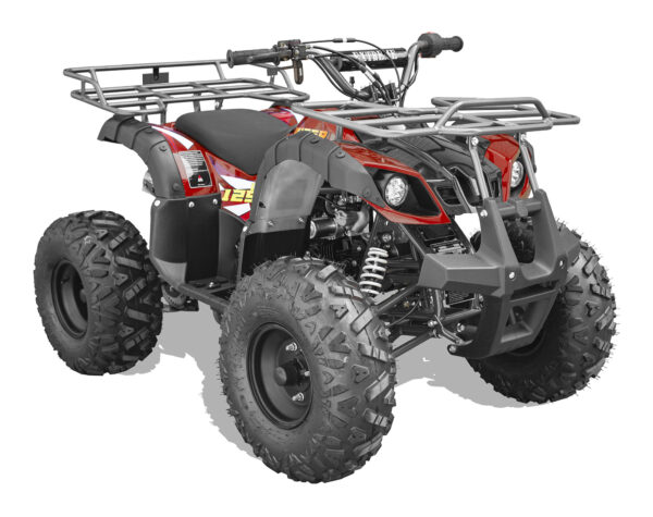Vitacci Rider 9 125cc ATV, Fully Automatic with Reverse, 4-Stroke Single Cylinder, Air-Cooled Engine - Image 19