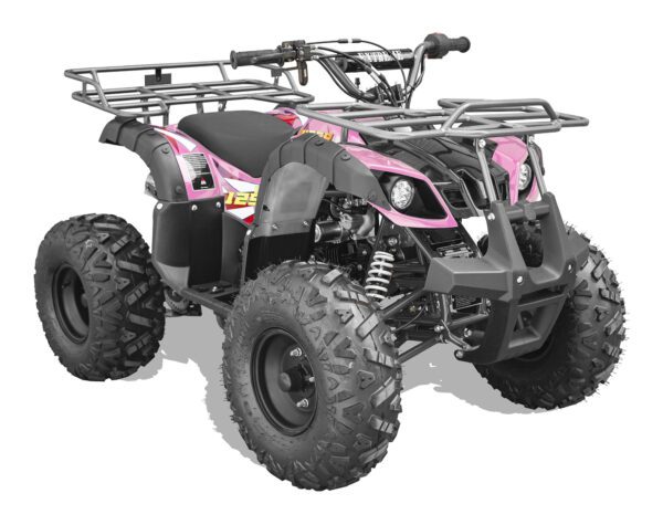 Vitacci Rider 9 125cc ATV, Fully Automatic with Reverse, 4-Stroke Single Cylinder, Air-Cooled Engine - Image 20