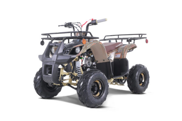 A picture of an atv with the back rack.