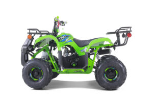 A green atv with the back rack up.