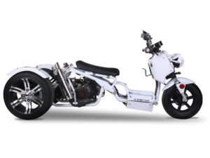 Custom Icebear Maddog Trike 50cc(PST50-19N)-Trike with a white body and exposed engine on a white background.