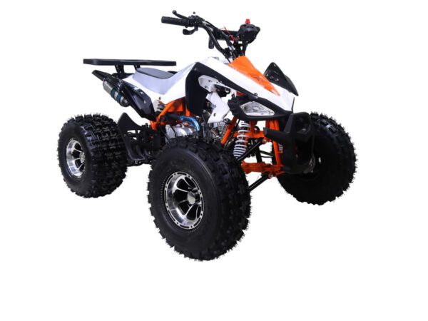 Tao Motor Cheetah 125cc Mid-Size ATV, Fully Automatic with Reverse, 4-Stroke Air-Cooled Engine