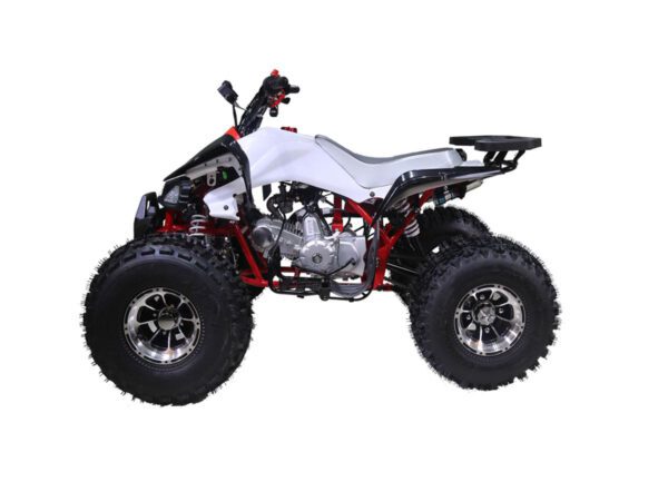 Tao Motor Cheetah 125cc Mid-Size ATV, Fully Automatic with Reverse, 4-Stroke Air-Cooled Engine - Image 14