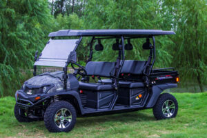 A golf cart is parked in the grass.
