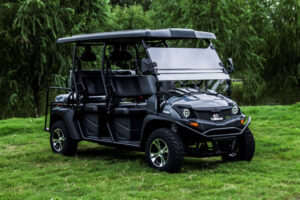 A black golf cart parked in the grass.