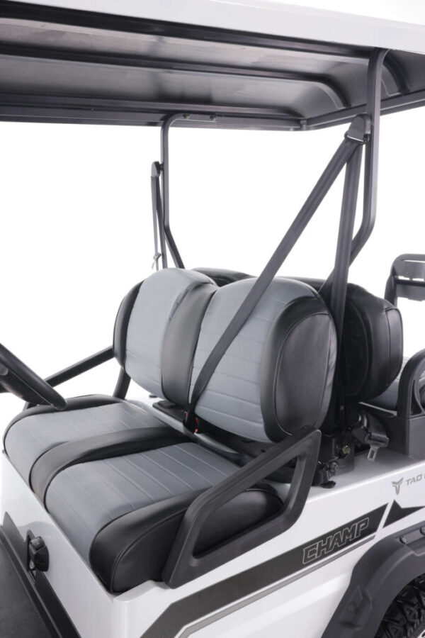 A golf cart with two seats and a seat belt.