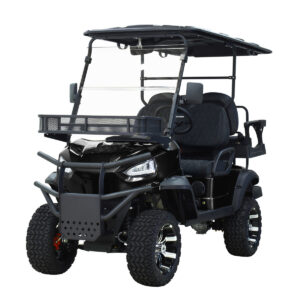 A black golf cart with a canopy and seat.