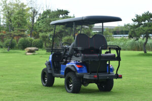 A blue golf cart with two seats and a black canopy.