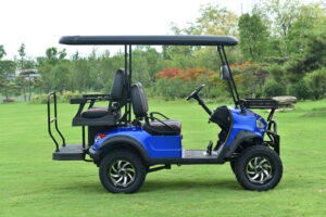 A blue golf cart is parked in the grass.