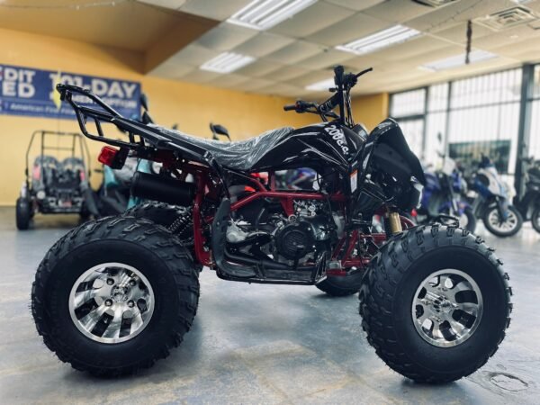 Cougar 200 Full Size ATV (Sport) - Image 3