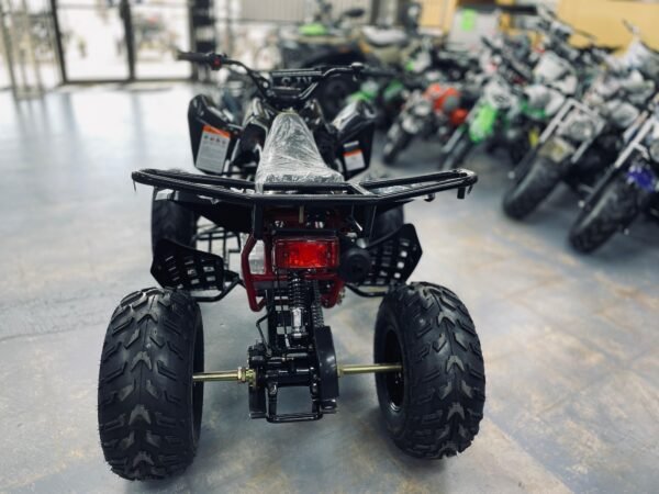 Cougar 200 Full Size ATV (Sport) - Image 6