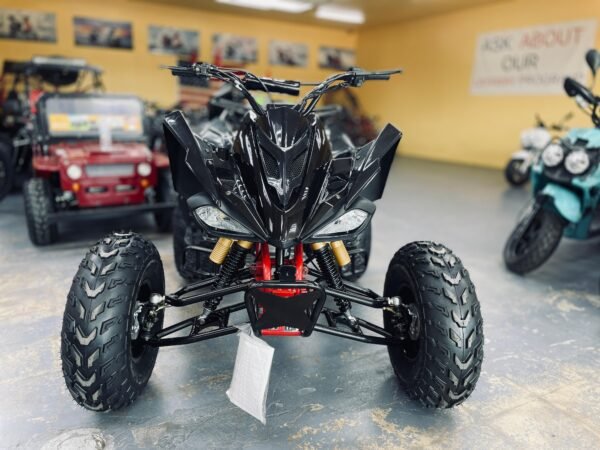 Cougar 200 Full Size ATV (Sport) - Image 5