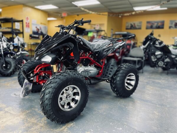 Cougar 200 Full Size ATV (Sport) - Image 2