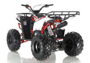 A red and black atv with a rack on the back.
