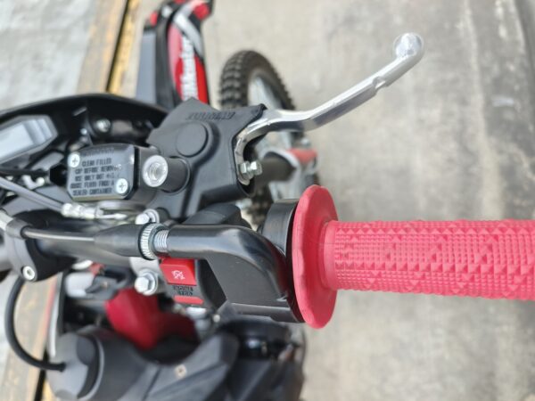 Trailmaster TM38EX 300cc EFI Dirt Bike, 6-Speed Manual, 4-Stroke Liquid-Cooled SOHC Engine with Balance Shaft - Image 13