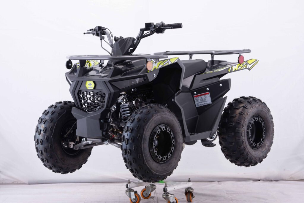 New Vitacci Pentora iRide 125cc ATV - Fun and Reliable Off-Road