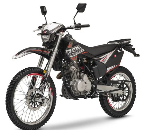 TrailMaster T5 250 Dual Sport Dirt Bike For Sale- Pioneer Powersports