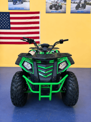 Alternative view of Vitacci Commander 200 EFI