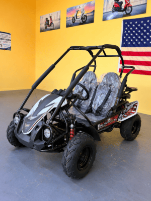 Trailmaster Blazer 200R (In Store)