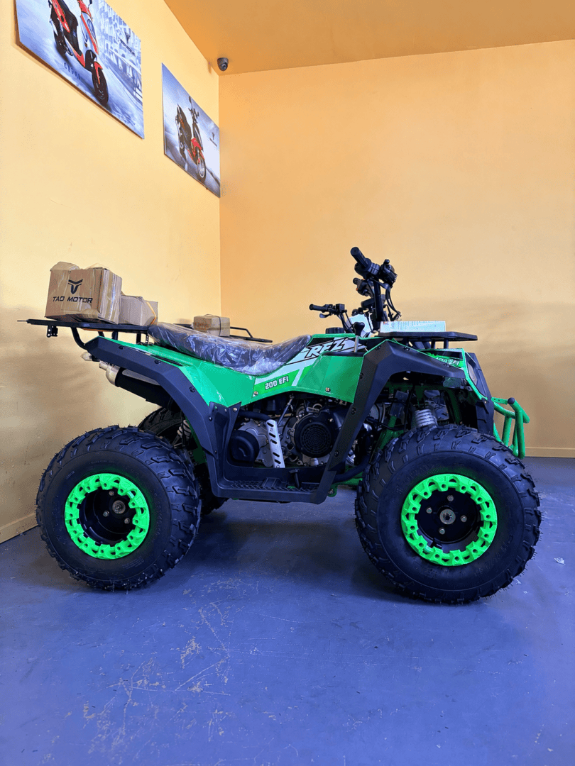 Vitacci Commander 200 EFI - Image 3