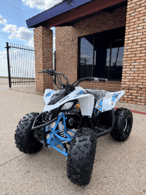 Trailmaster R125 (In Store)