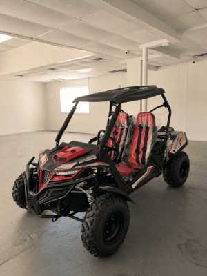 Trailmaster Cheetah 300 (In Store)