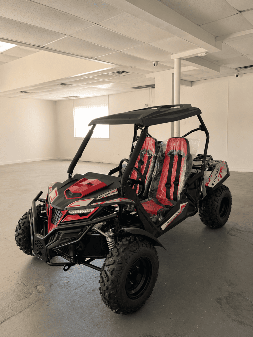 Trailmaster Cheetah 300 (In Store)