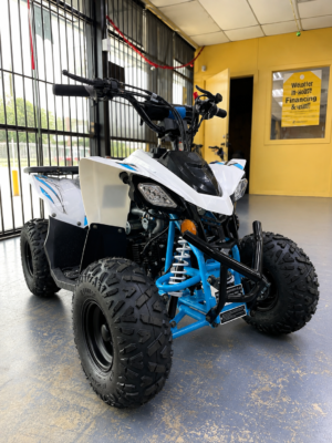 Alternative view of Vitacci Shrike 110 ATV (In Store)