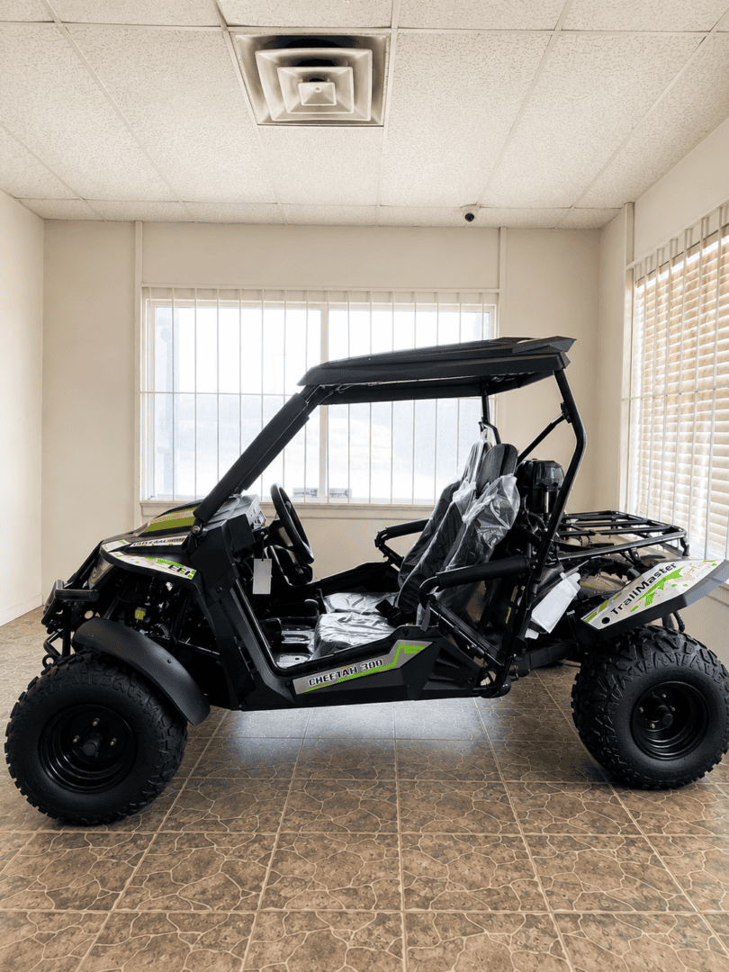 Trailmaster Cheetah 300 (In Store) - Image 4
