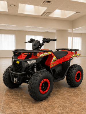 Vitacci Pentora Iride 125cc (In Store)