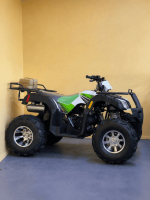 Alternative view of Tao Motor Bull 200cc (In Store)