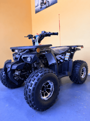 Vitacci Phantom 125 (In Store)