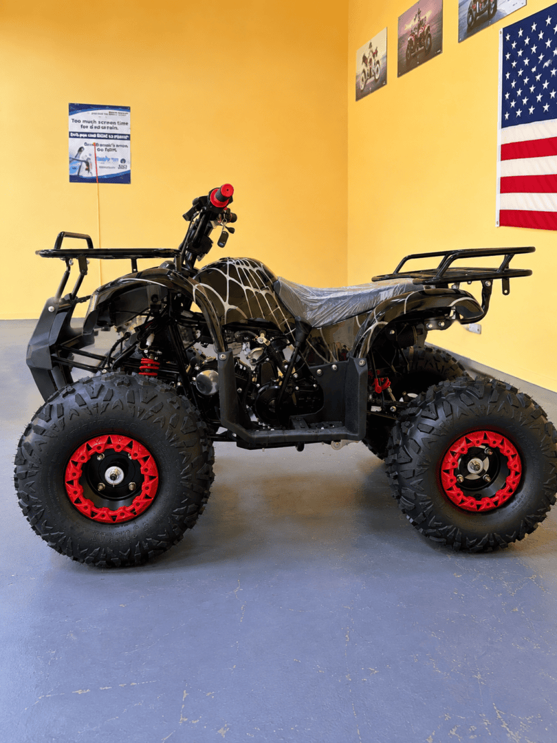 Trailmaster B125cc (In Store) - Image 3