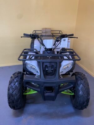 Tao Motor Bull 200cc (In Store)