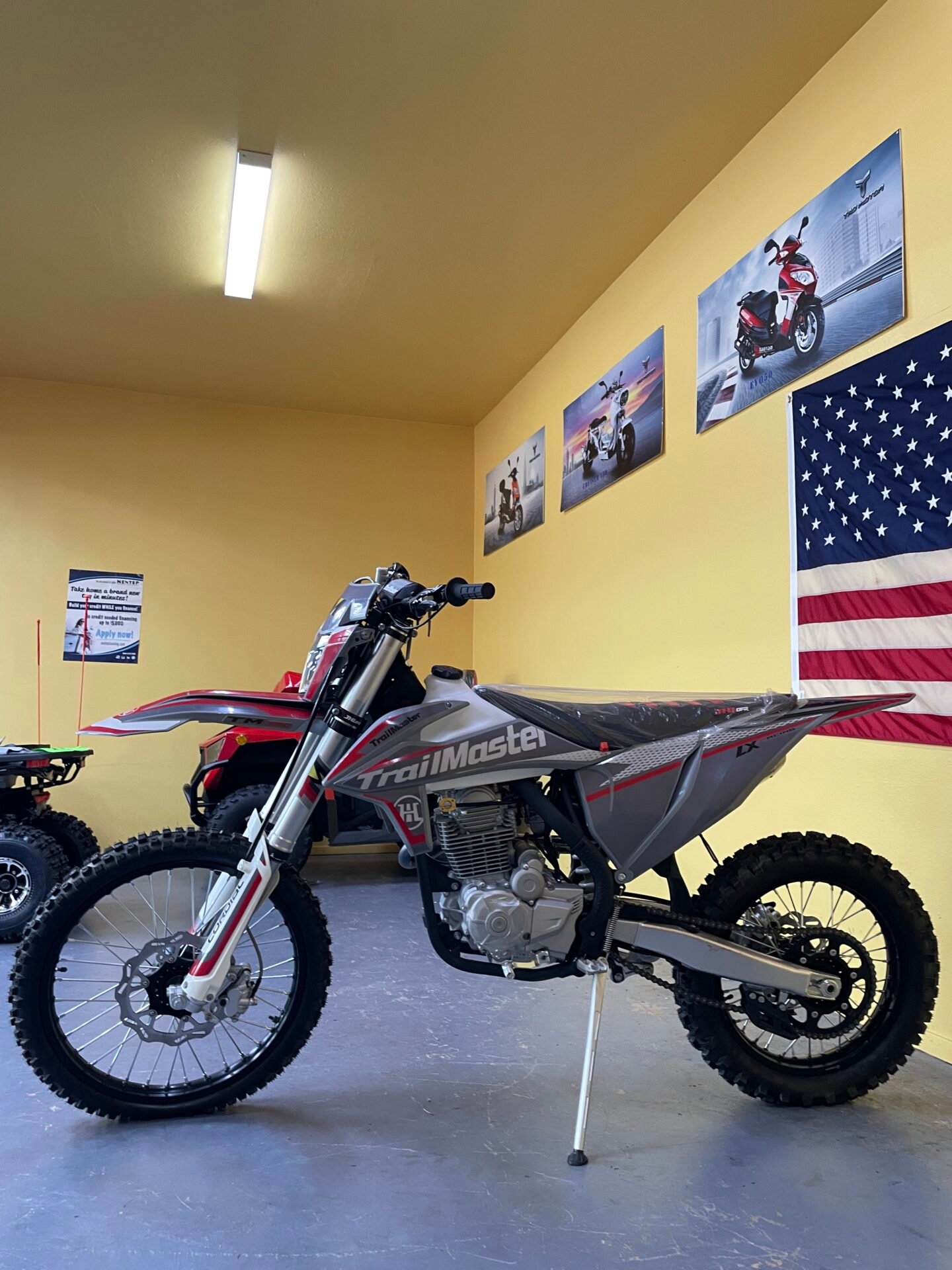 Trailmaster LX250cc - Image 3