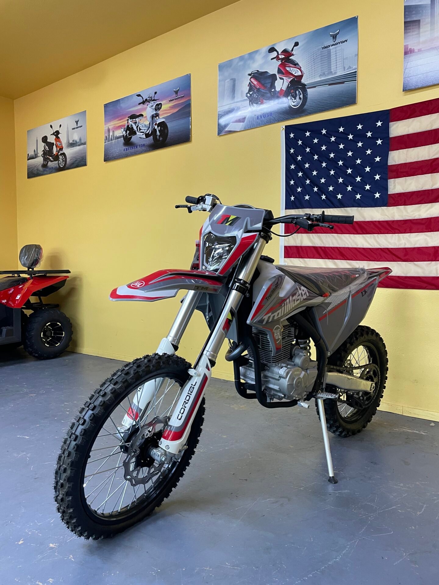 Trailmaster LX250cc - Image 2
