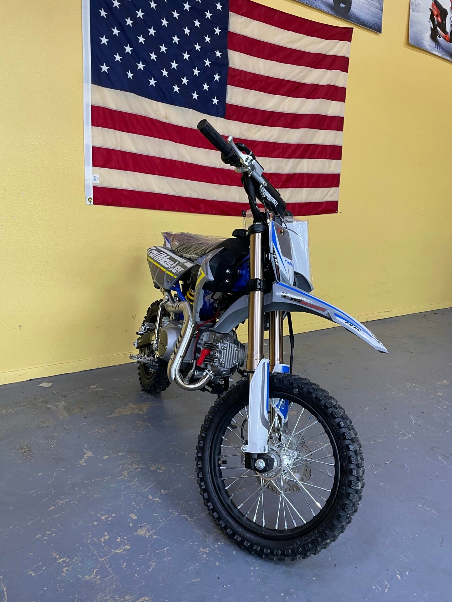 Trailmaster MK 110 ES - Image 3