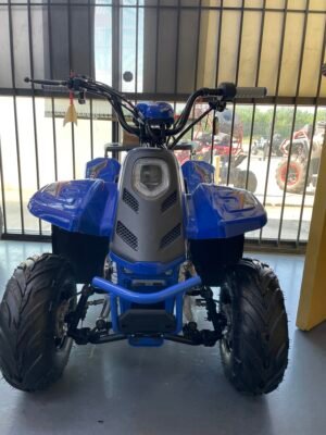 Tao Motor Rock 110s ATV (In Store)