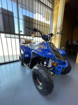 Alternative view of Tao Motor Rock 110s ATV (In Store)