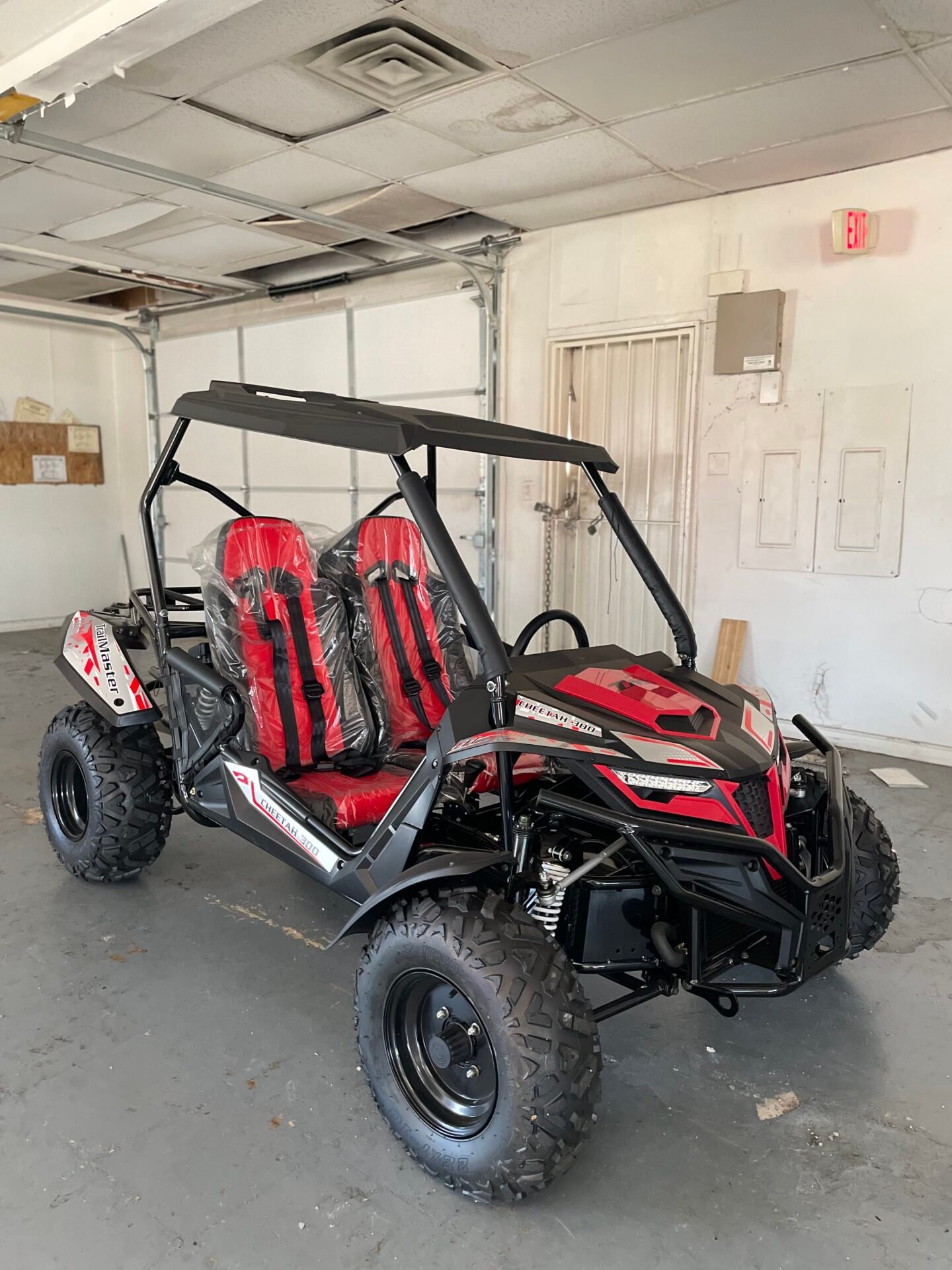 Trailmaster Cheetah 300 (In Store) - Image 4